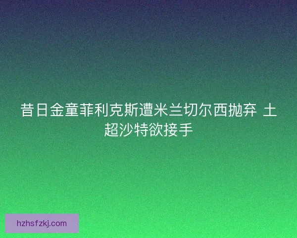 昔日金童菲利克斯遭米兰切尔西抛弃 土超沙特欲接手