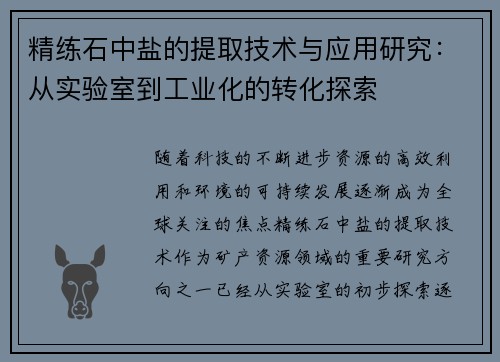 精练石中盐的提取技术与应用研究：从实验室到工业化的转化探索